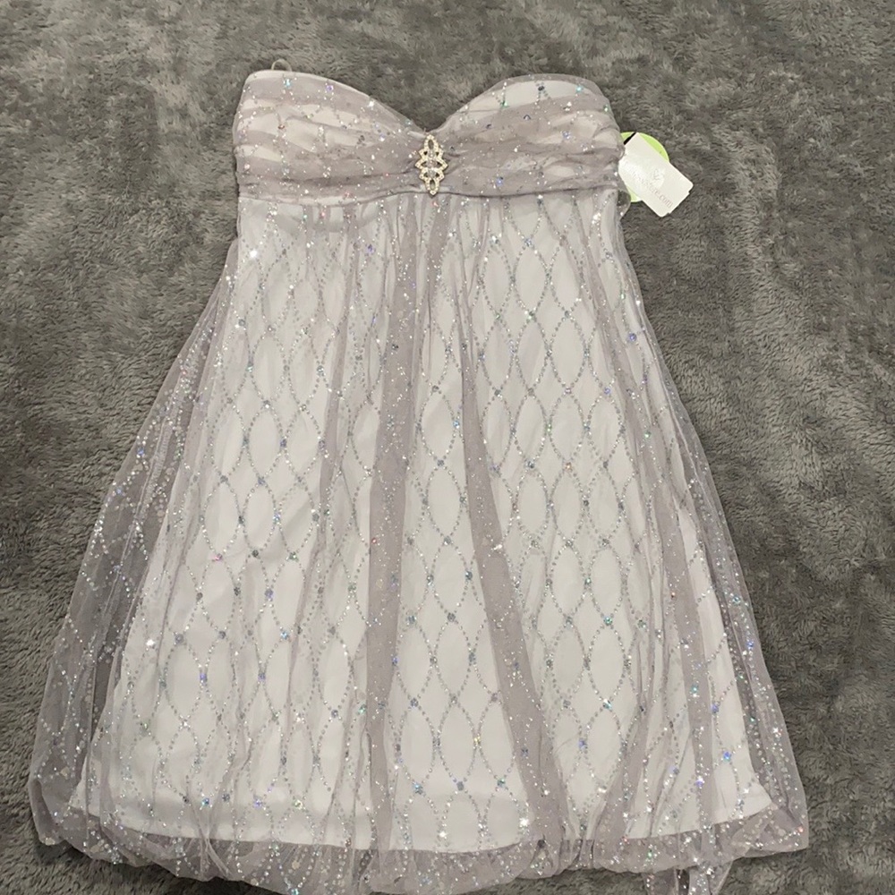 Windsor Silver Strapless Mini Dress